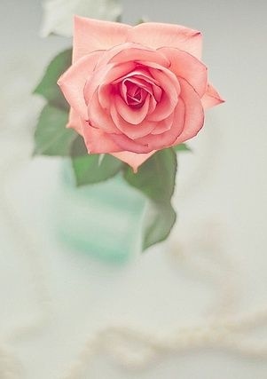 唯美意境图片:人生最大的勇敢就是不管经历什么