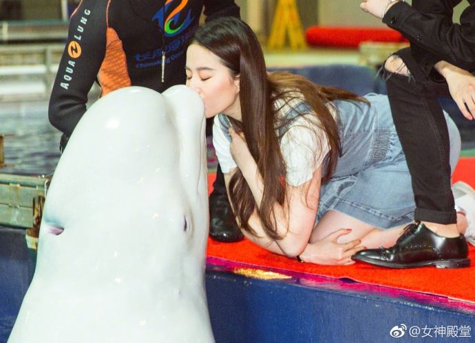 小仙女姐姐刘亦菲白色T恤搭配牛仔长裙少女心十