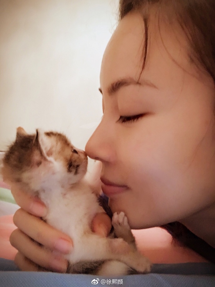萌宠猫咪图片_幼小的喵星人图片