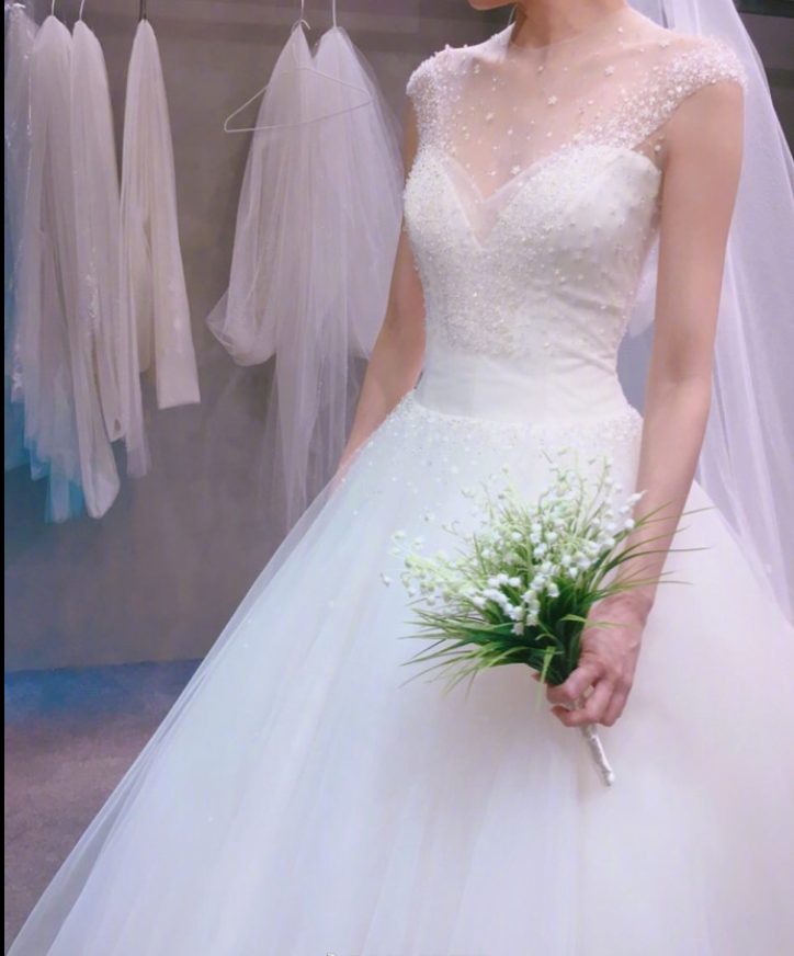 唯美婚纱图片_无法抗拒的婚纱梦