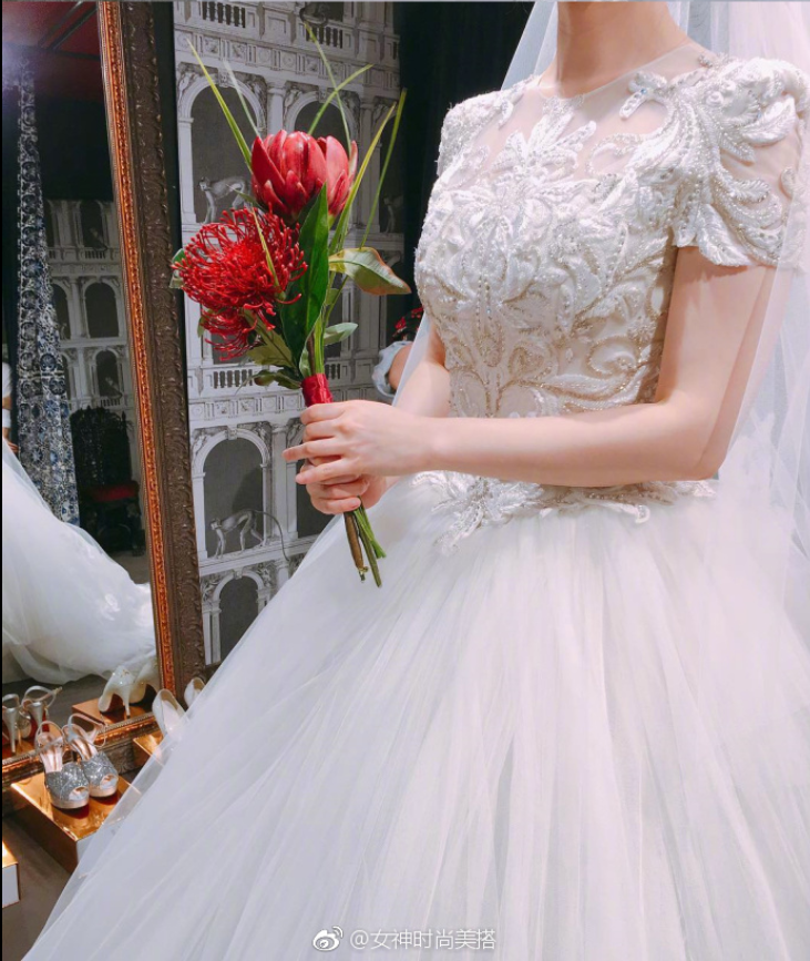 唯美婚纱图片_无法抗拒的婚纱梦
