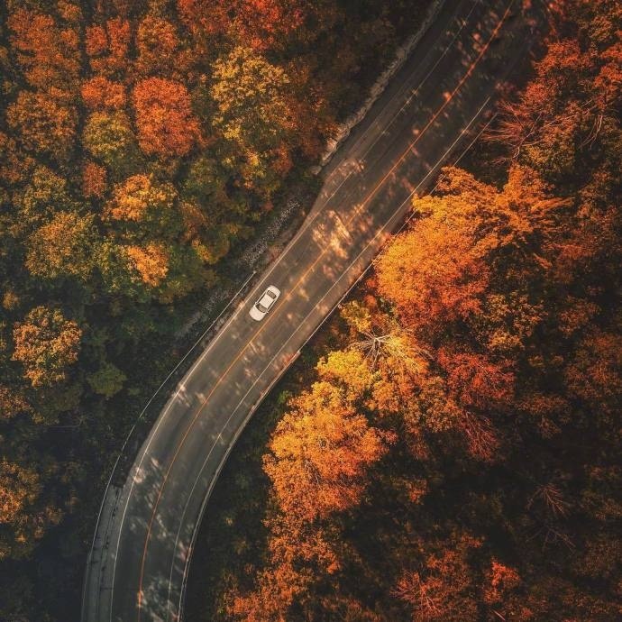 属于秋天的枫叶色风景图片