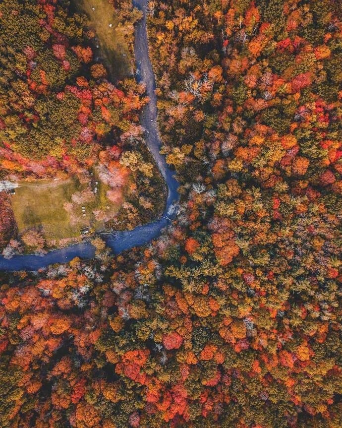 属于秋天的枫叶色风景图片