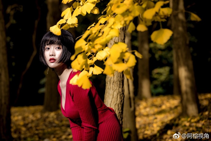 这是一个银杏树下秋天的童话故事美女图片
