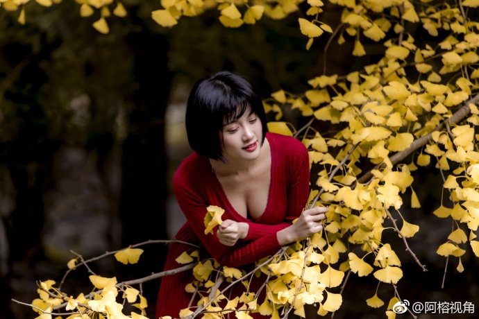 这是一个银杏树下秋天的童话故事美女图片