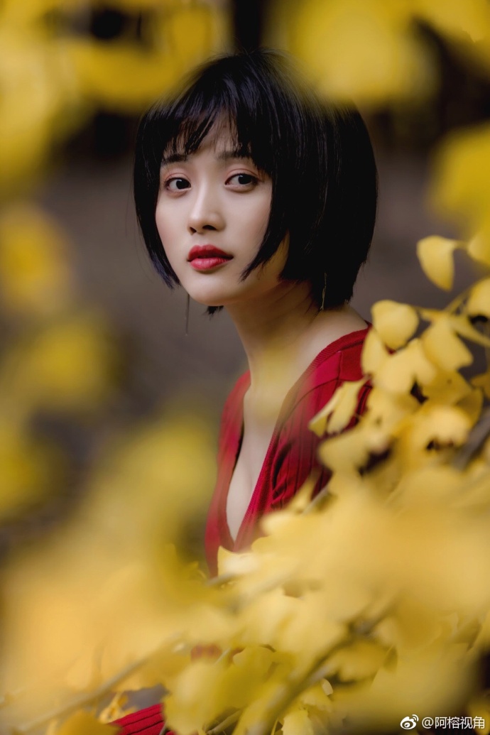 这是一个银杏树下秋天的童话故事美女图片
