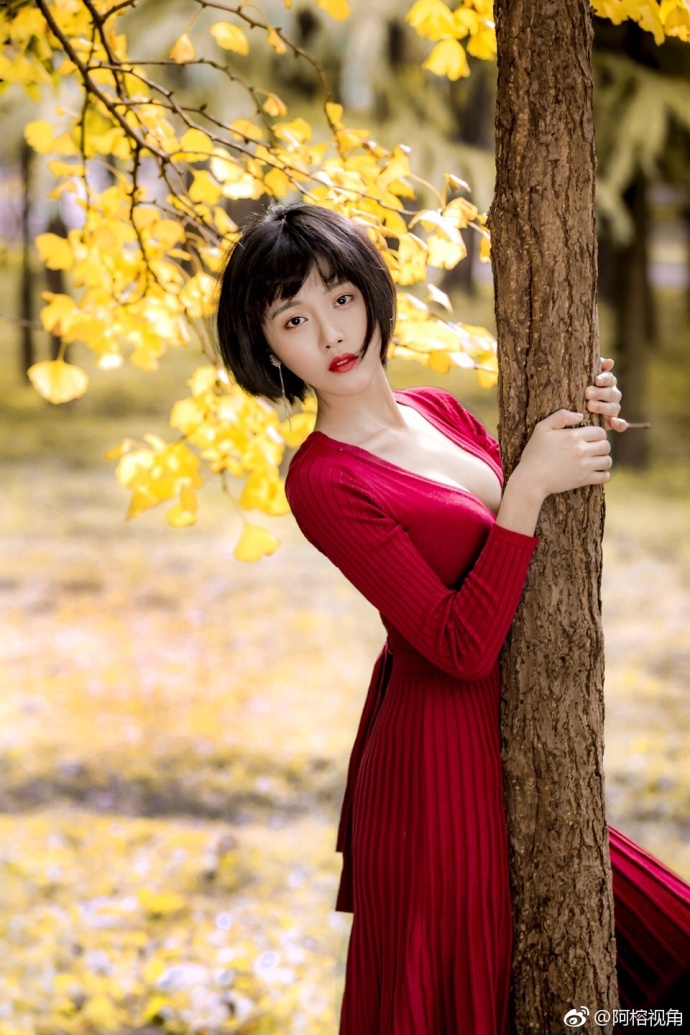 这是一个银杏树下秋天的童话故事美女图片
