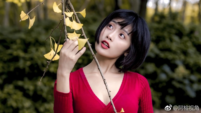这是一个银杏树下秋天的童话故事美女图片