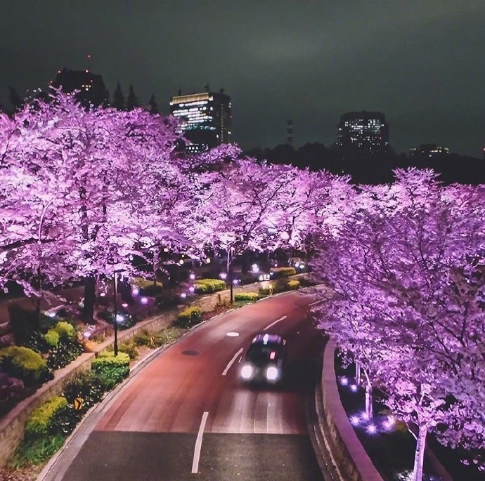 东京风景图片_东京的大街小巷美景图片