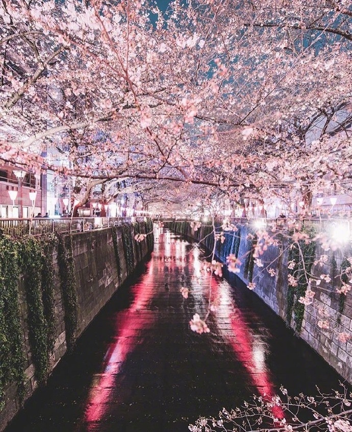 东京风景图片_东京的大街小巷美景图片