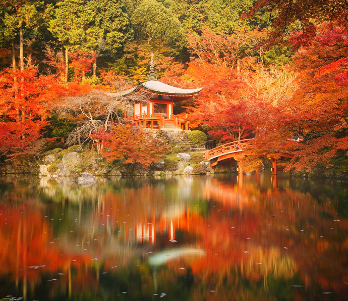 日本京都醍醐寺的秋枫风景图片