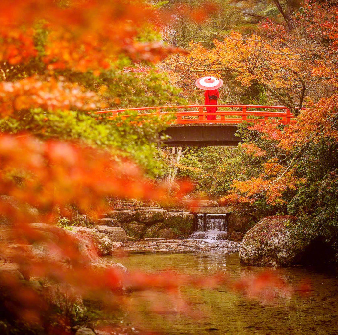 日本京都醍醐寺的秋枫风景图片