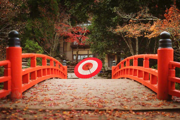 日本京都醍醐寺的秋枫风景图片