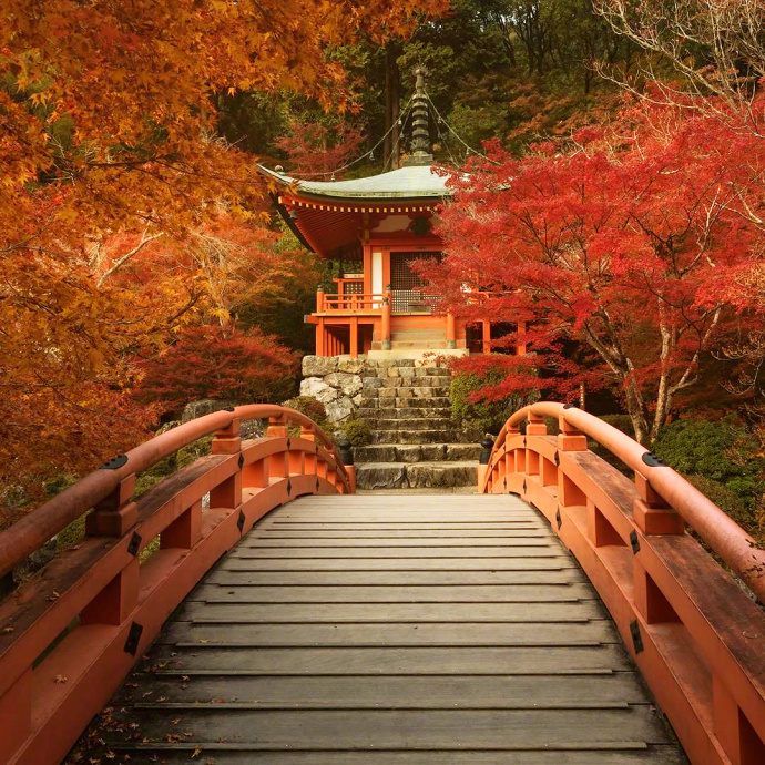 日本京都醍醐寺的秋枫风景图片