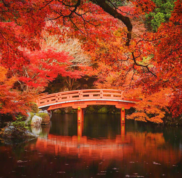日本京都醍醐寺的秋枫风景图片