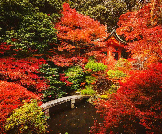 日本京都醍醐寺的秋枫风景图片