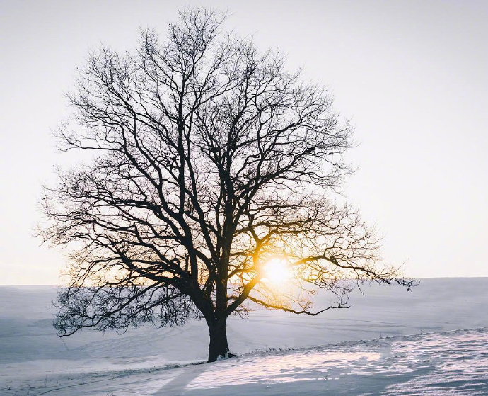 雪景图片_想去北欧看一场大雪风景图片