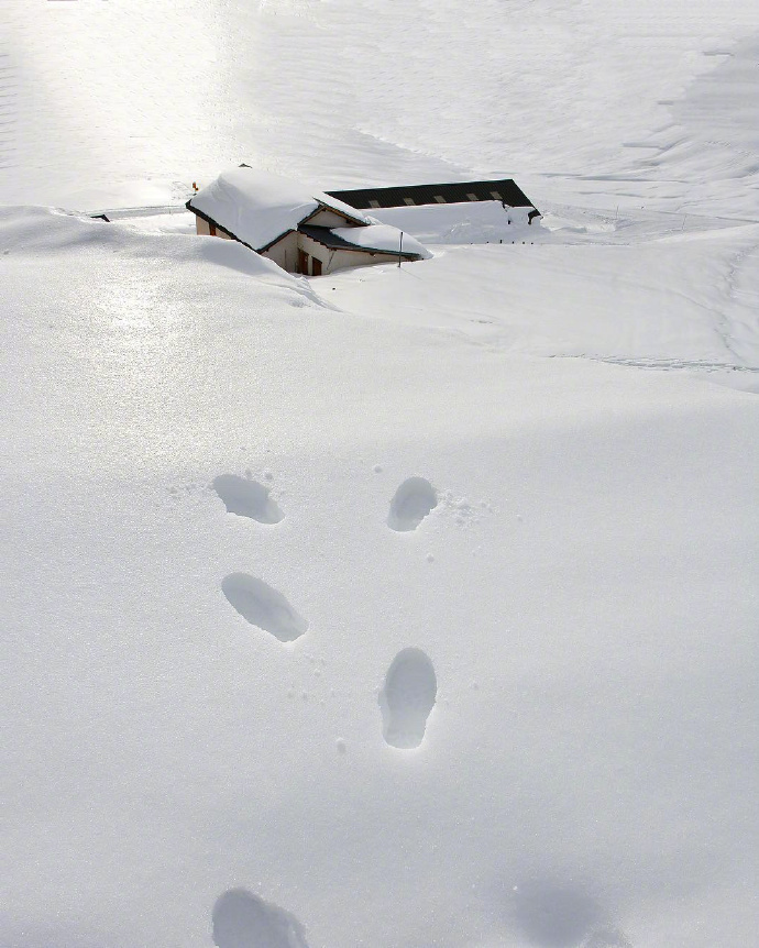雪景图片_想去北欧看一场大雪风景图片