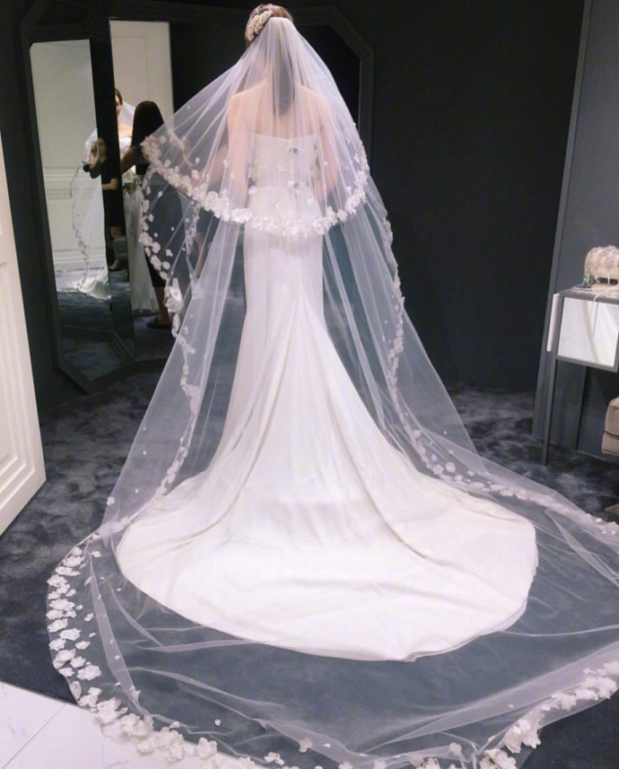 唯美婚纱图片:不可抗拒的婚纱梦