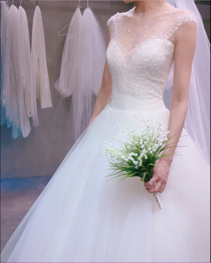 唯美婚纱图片:不可抗拒的婚纱梦