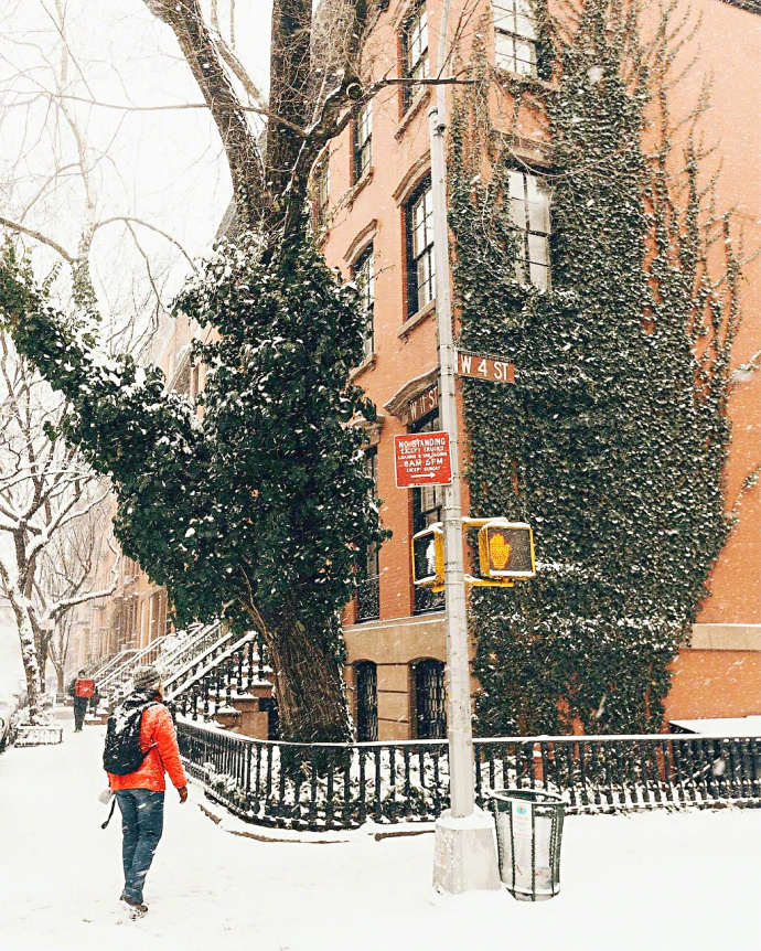 下雪时的风景图片_你的城市下雪了吗