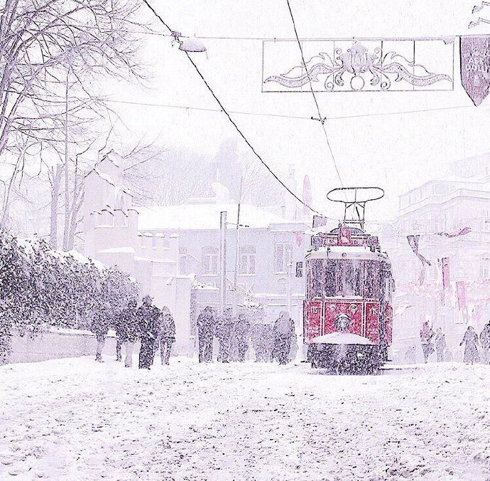 南方孩子羡慕的北方下雪时的雪景图片