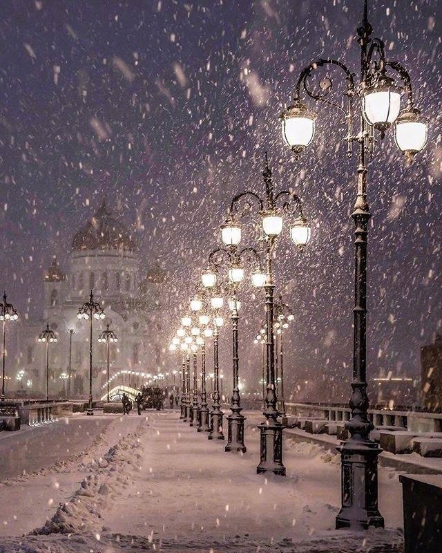 下雪了图片_雪景图片