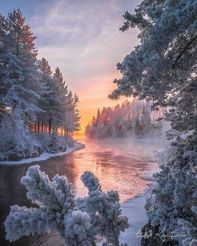 下雪了图片_雪景图片