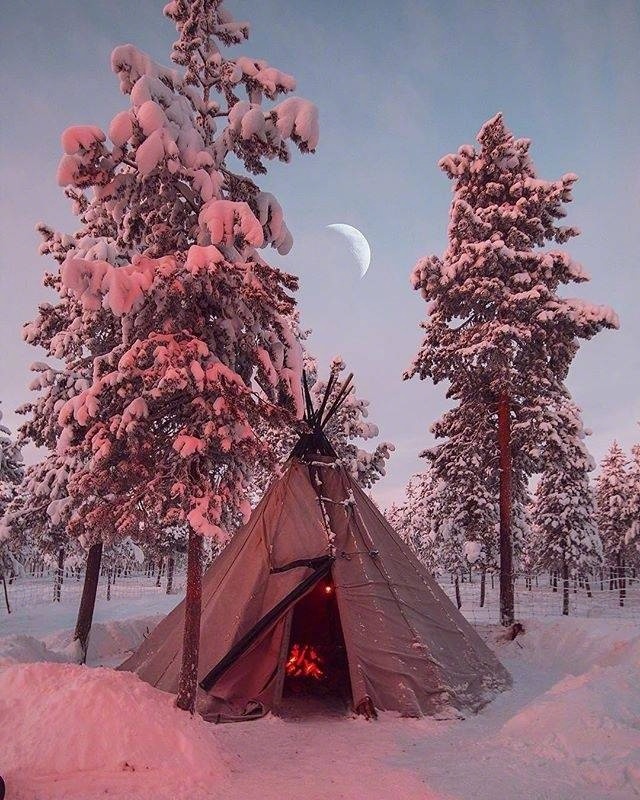 下雪了图片_雪景图片