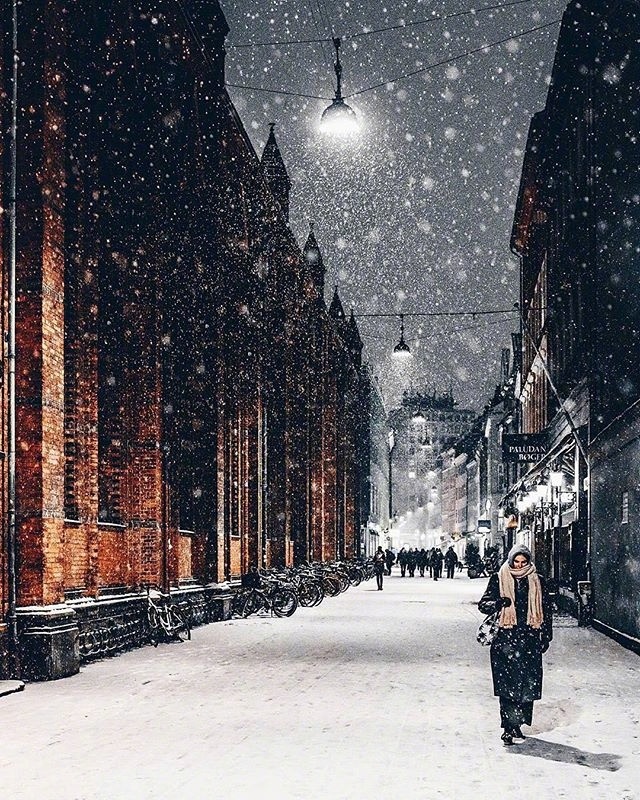 下雪了图片_雪景图片
