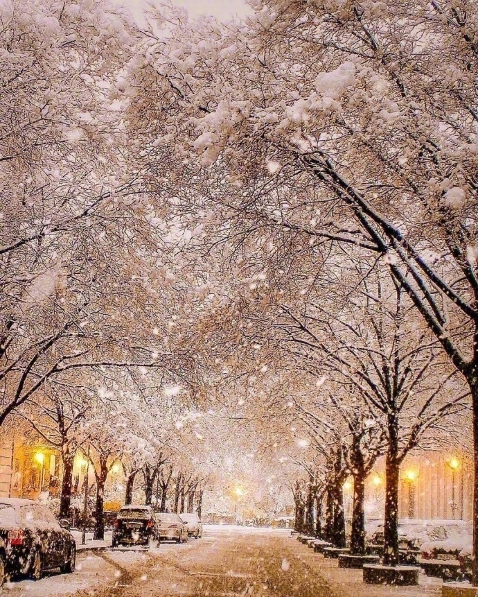 瑞士夜晚的雪景仿佛进入童话世界一样