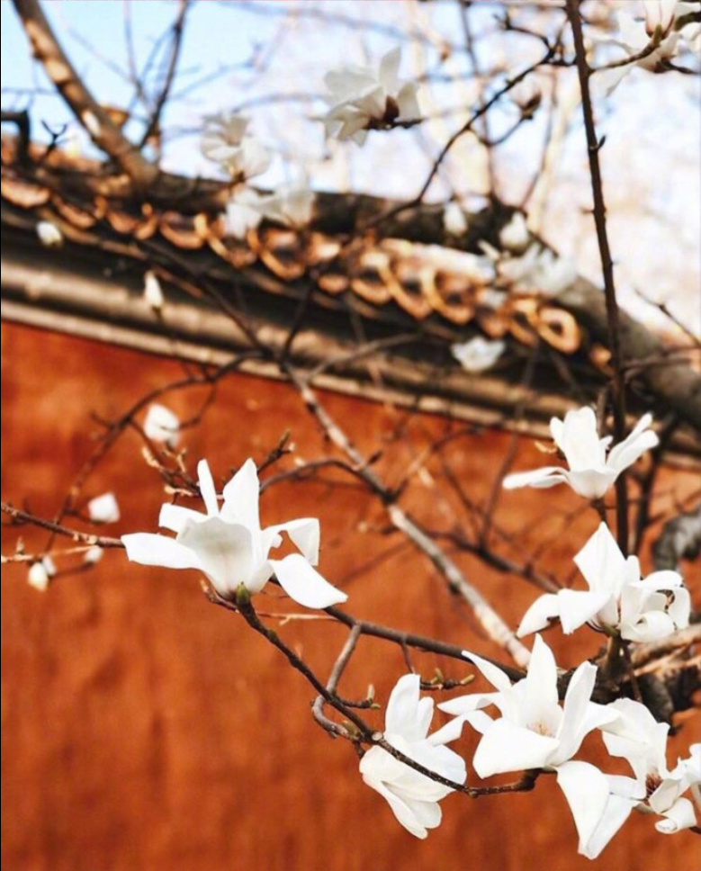 现在的北京历史的紫禁城风景图片