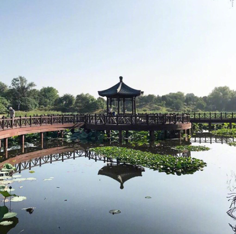 现在的北京历史的紫禁城风景图片