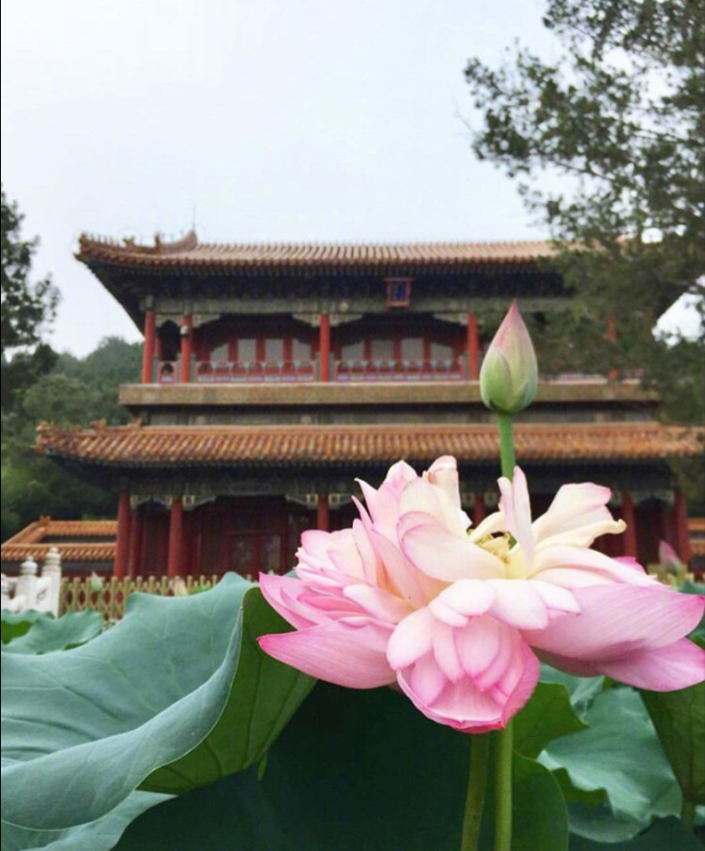 现在的北京历史的紫禁城风景图片