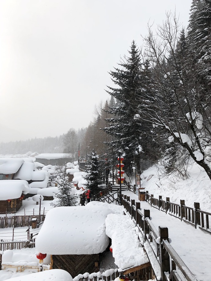 哈尔滨雪乡童话王国风景图片