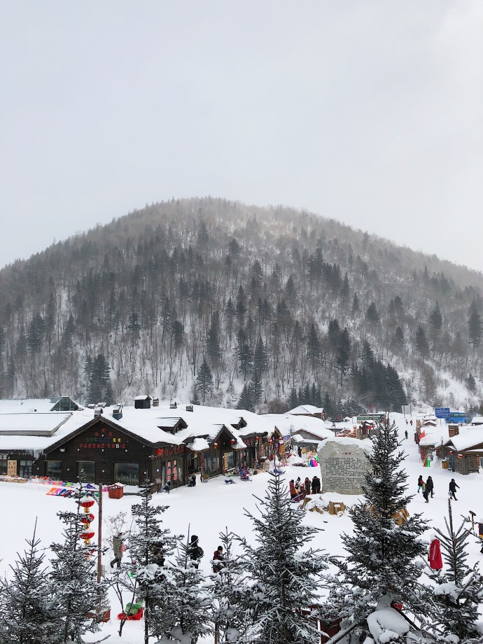 哈尔滨雪乡童话王国风景图片