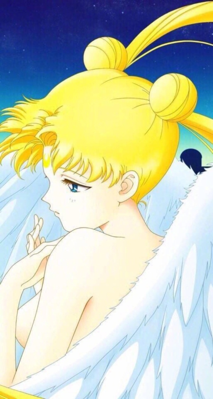 美少女战士头像集_美少女战士壁纸