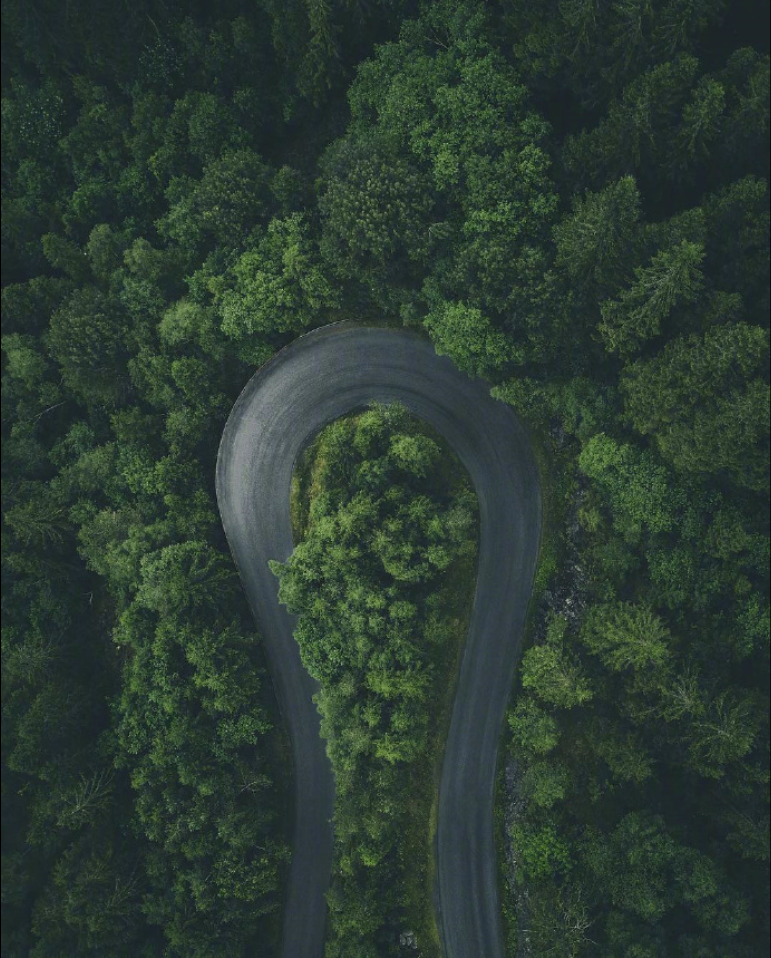 有一种绿在挪威风景图片