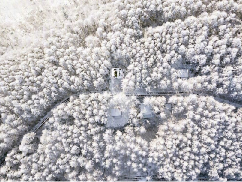 摄影师naagaoshi拍摄的一组日本冬季的雪景有点浪