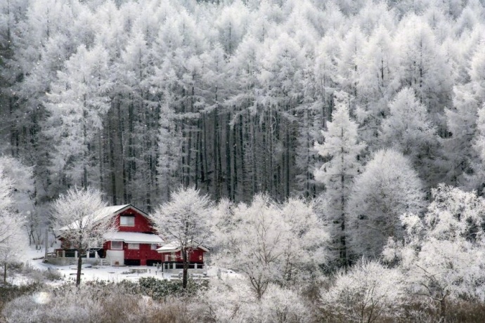 摄影师naagaoshi拍摄的一组日本冬季的雪景有点浪