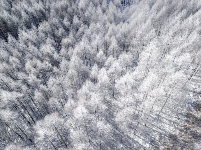 摄影师naagaoshi拍摄的一组日本冬季的雪景有点浪