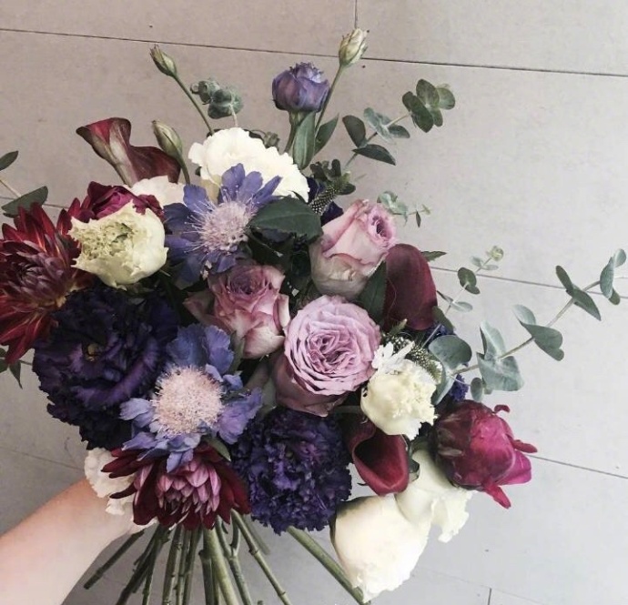 唯美鲜花图片_生活也要像花儿一样努力的绽放