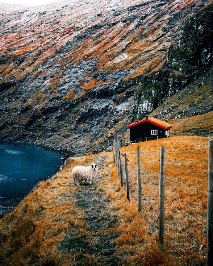 挪威北部的罗弗敦群岛Lofoten小镇风景图片