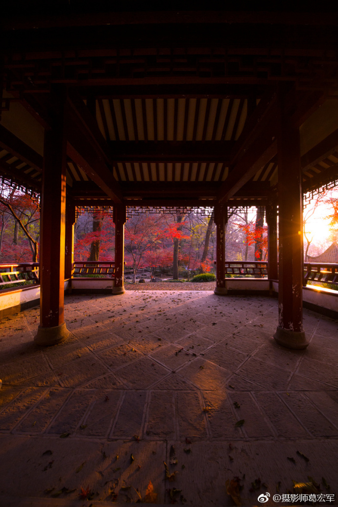 2017年秋摄于栖霞山红色枫叶图片_夕日红霞秋景