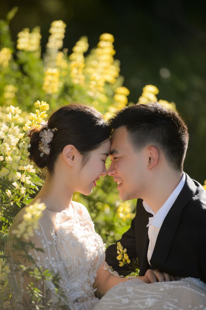 幸福的一对浪漫的结婚婚纱照
