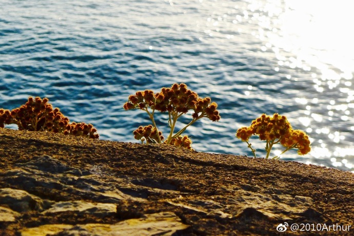 西班牙小镇Peniscola风景图片