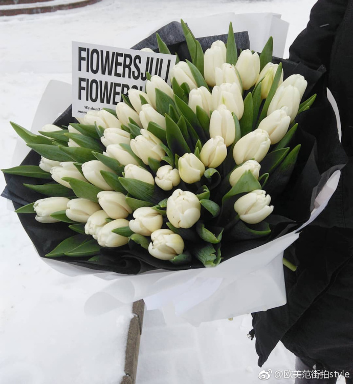 唯美鲜花图片_白色郁金香唯美图片