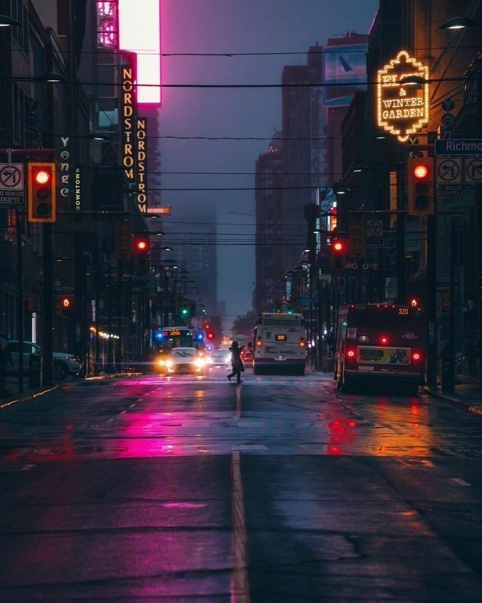 雨后的多伦多风景图片繁华落尽的孤单