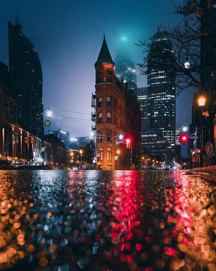 雨后的多伦多风景图片繁华落尽的孤单