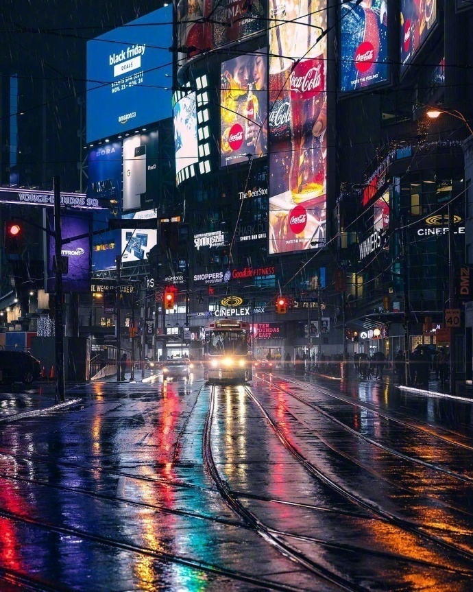 雨后的多伦多风景图片繁华落尽的孤单